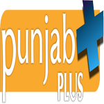 1-Punajb-Plus.png