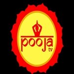 2-Pooja-TV.jpg